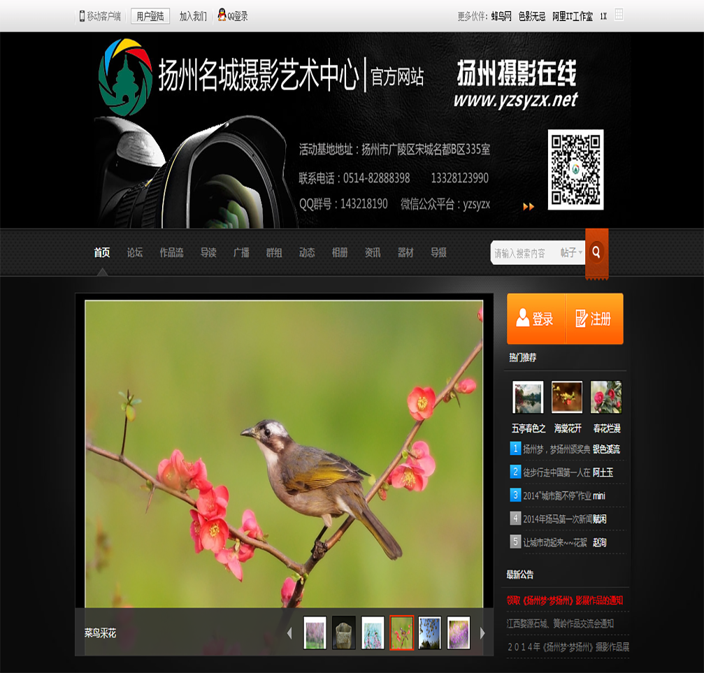 扬州摄影在线网站